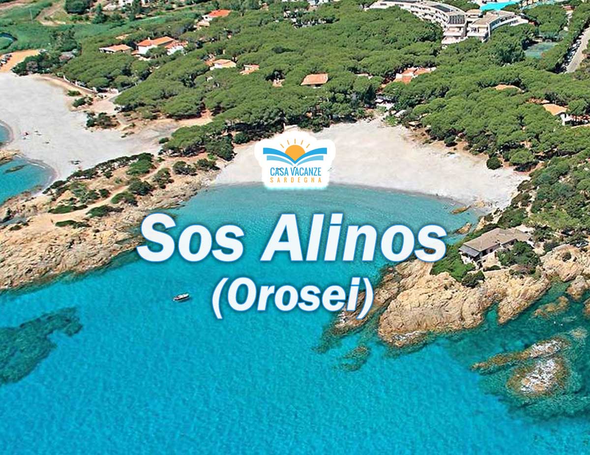 Categoria di alloggio: <span>Sos Alinos</span>